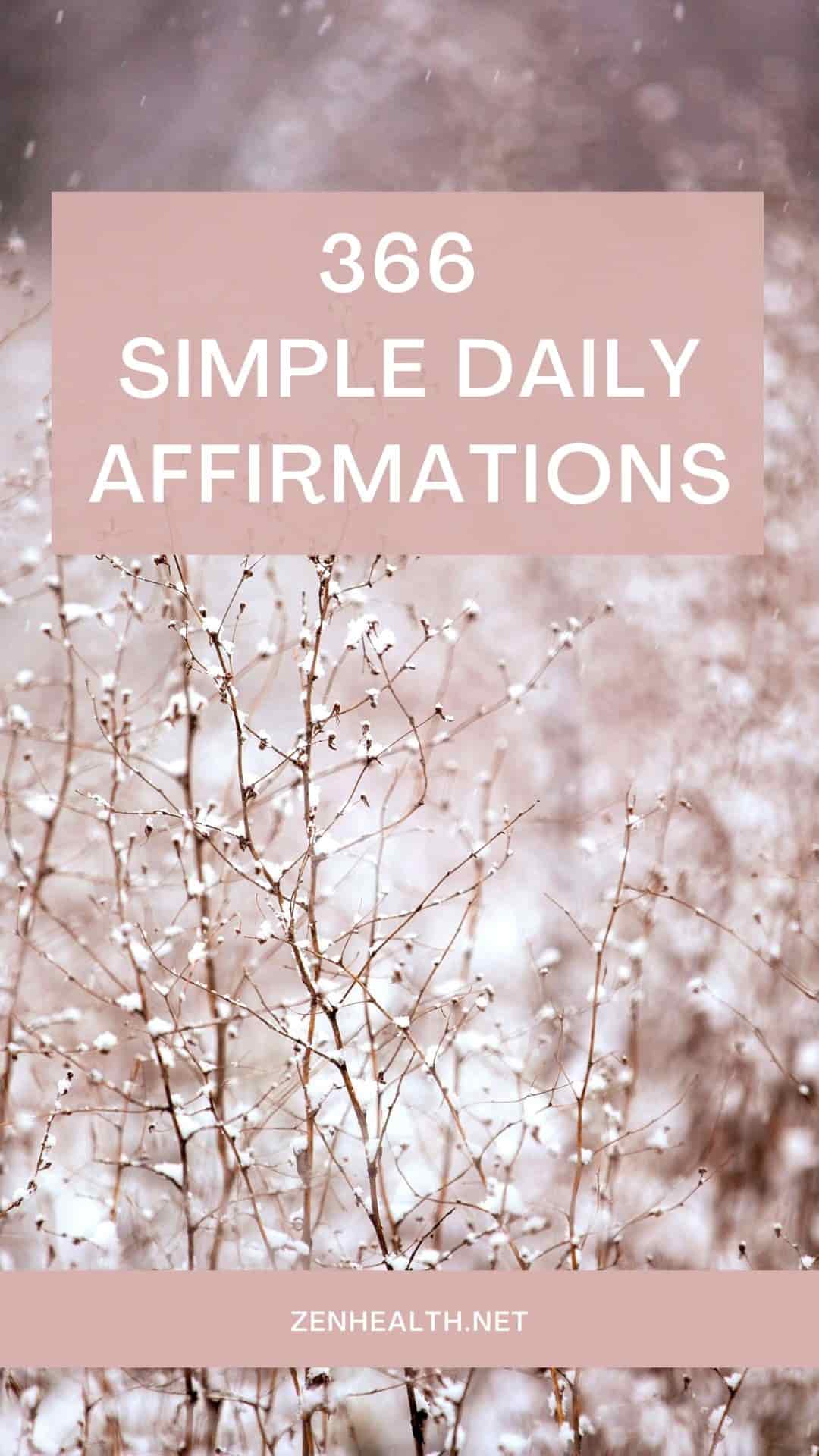 366 simple daily affirmations pin
