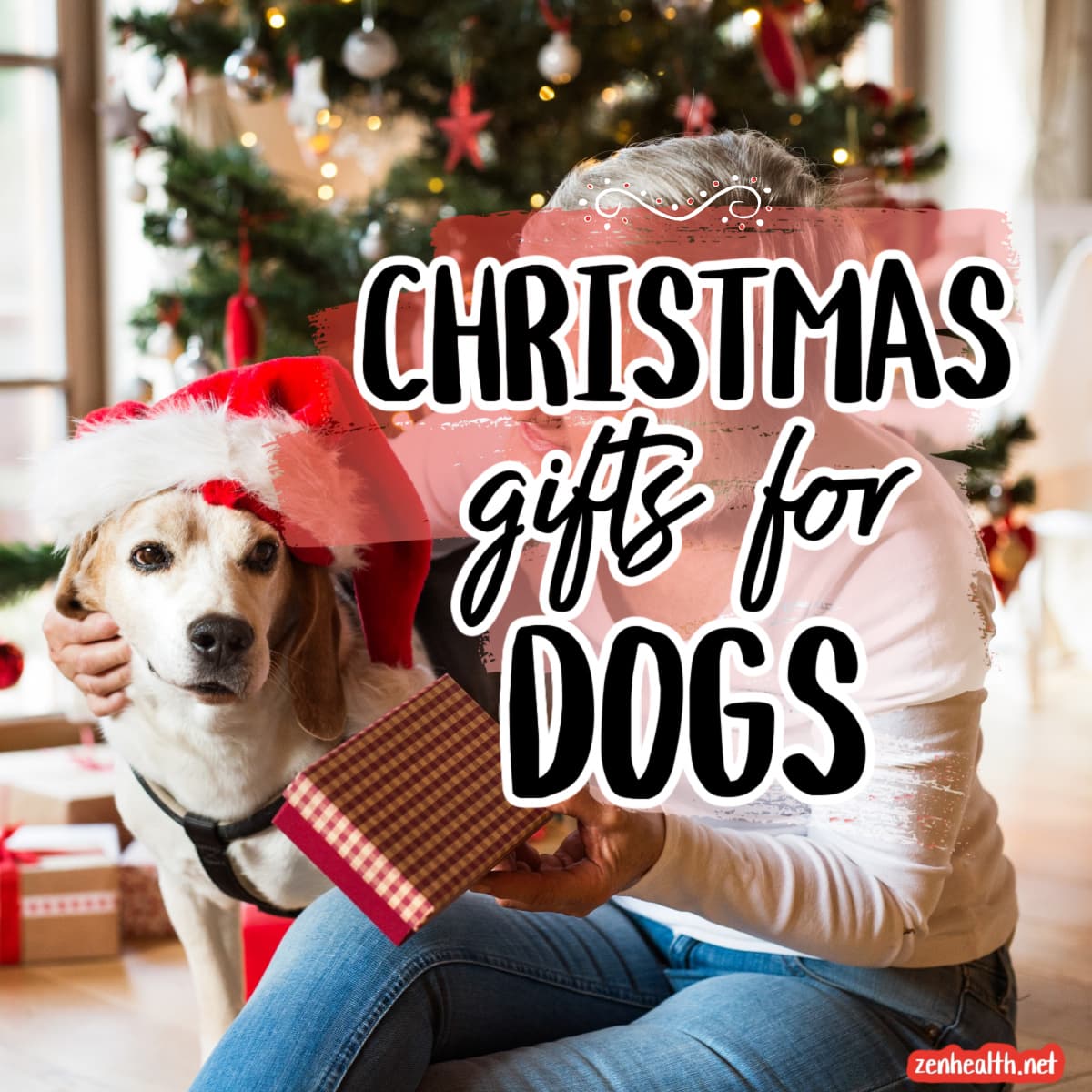 christmas gifts for dogs text overlay on a photo of a dog with a Christmas hat standing in a Christmas scene