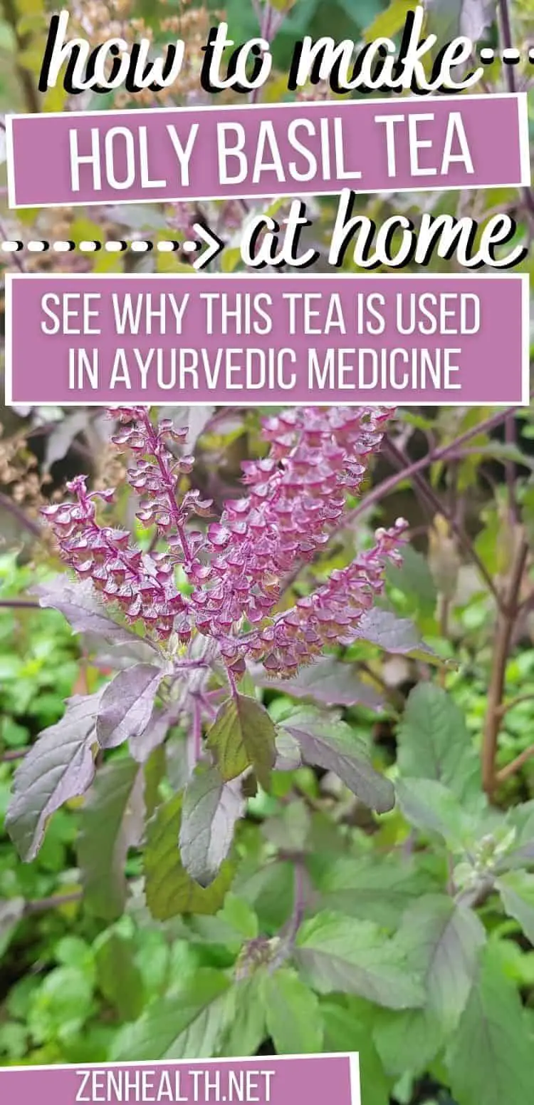 How to make holy basil tea at home: See why this tulsi tea is used in Ayurvedic medicine