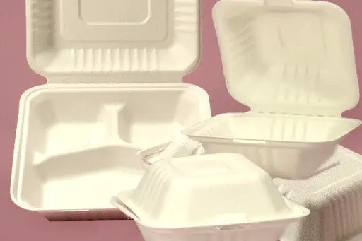 Plastic takeout containers