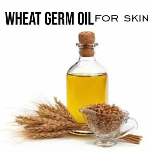 Use Wheat Germ Oil for Skin |#wheatgermoil
